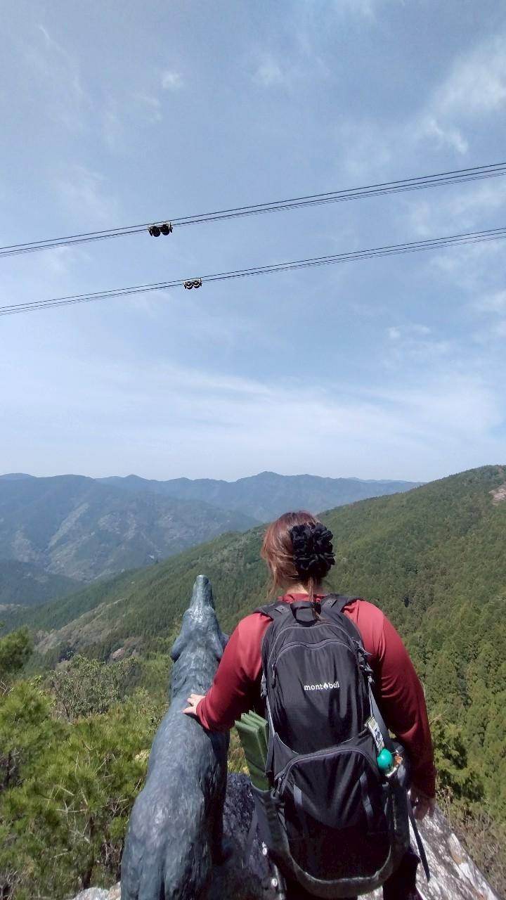 かも道から太龍寺道周回🌀太竜寺山・太竜岳 / 鼬いたちさんの太竜寺山の活動データ | YAMAP / ヤマップ