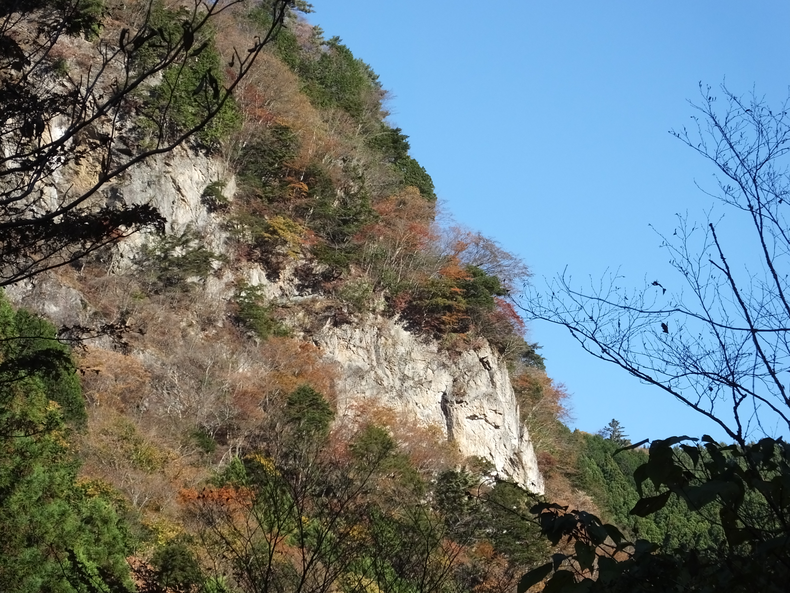 川乗谷の登山道復旧記念 川乗橋から川苔山を経て鳩ノ巣へ はいじまさんの川苔山 川乗山 の活動データ Yamap ヤマップ