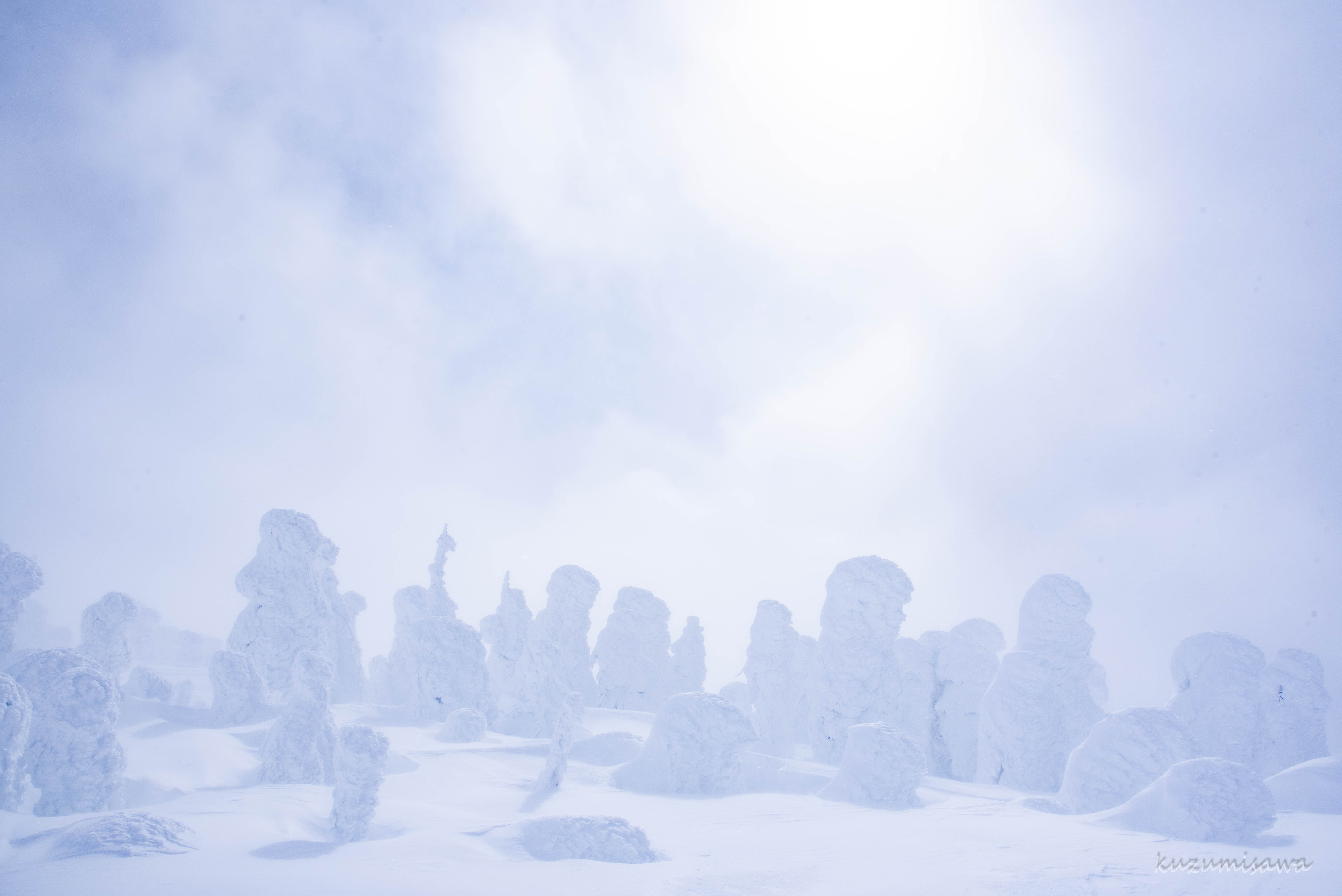 西吾妻山 ホワイトアウトと樹氷 Kuzumisawaさんの吾妻山 一切経山の活動データ Yamap ヤマップ