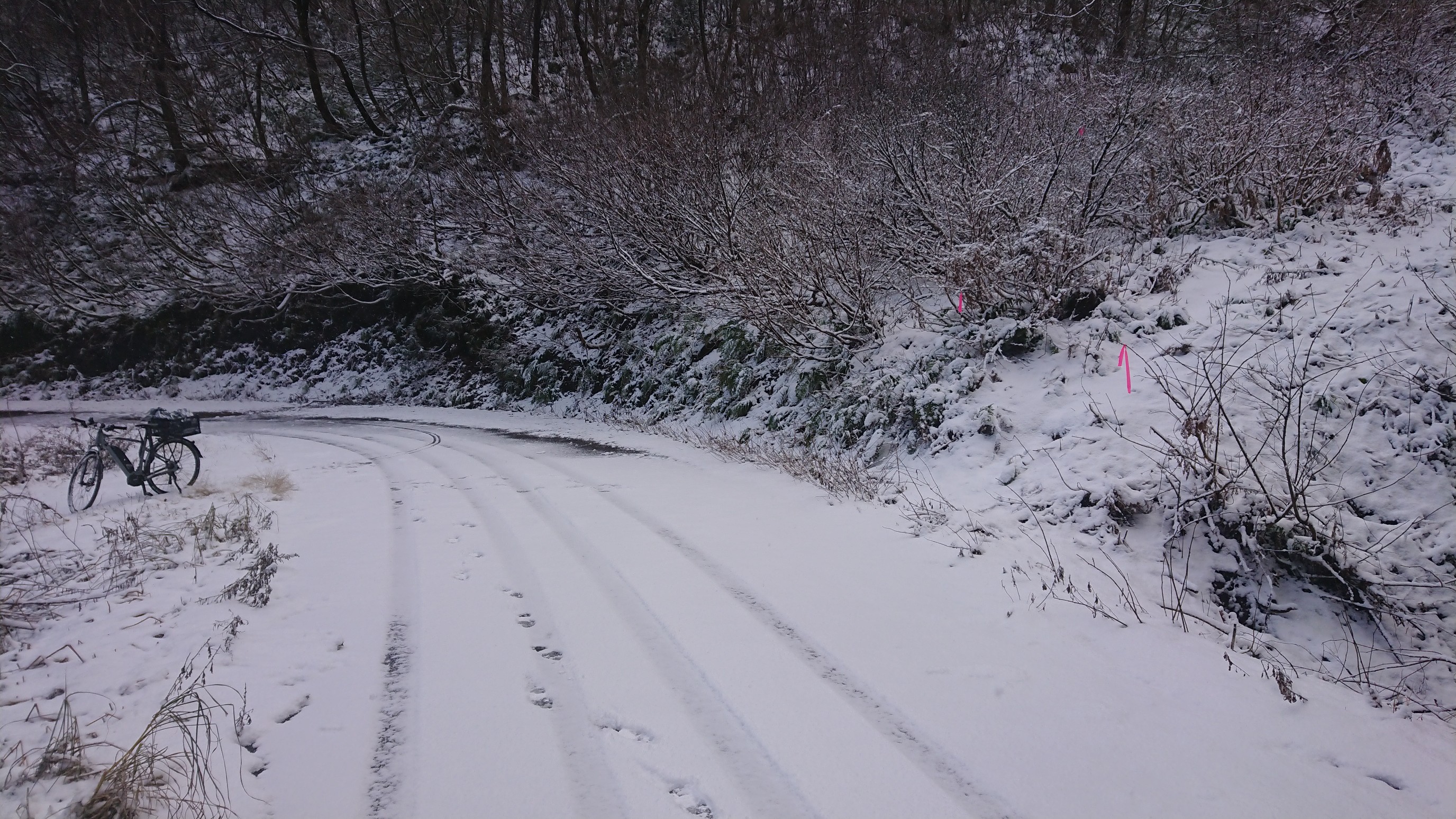 木六山・銀次郎山 悪場峠登山口
道路の雪は下山時消えてました