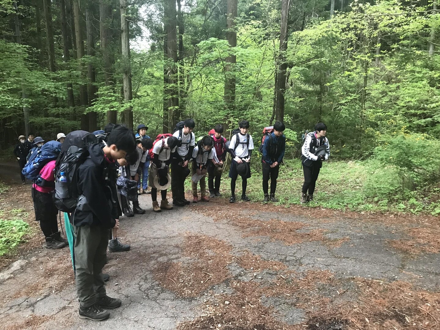 安戸山 4月27日 / たかなっちさんの安戸山の活動データ YAMAP / ヤマップ