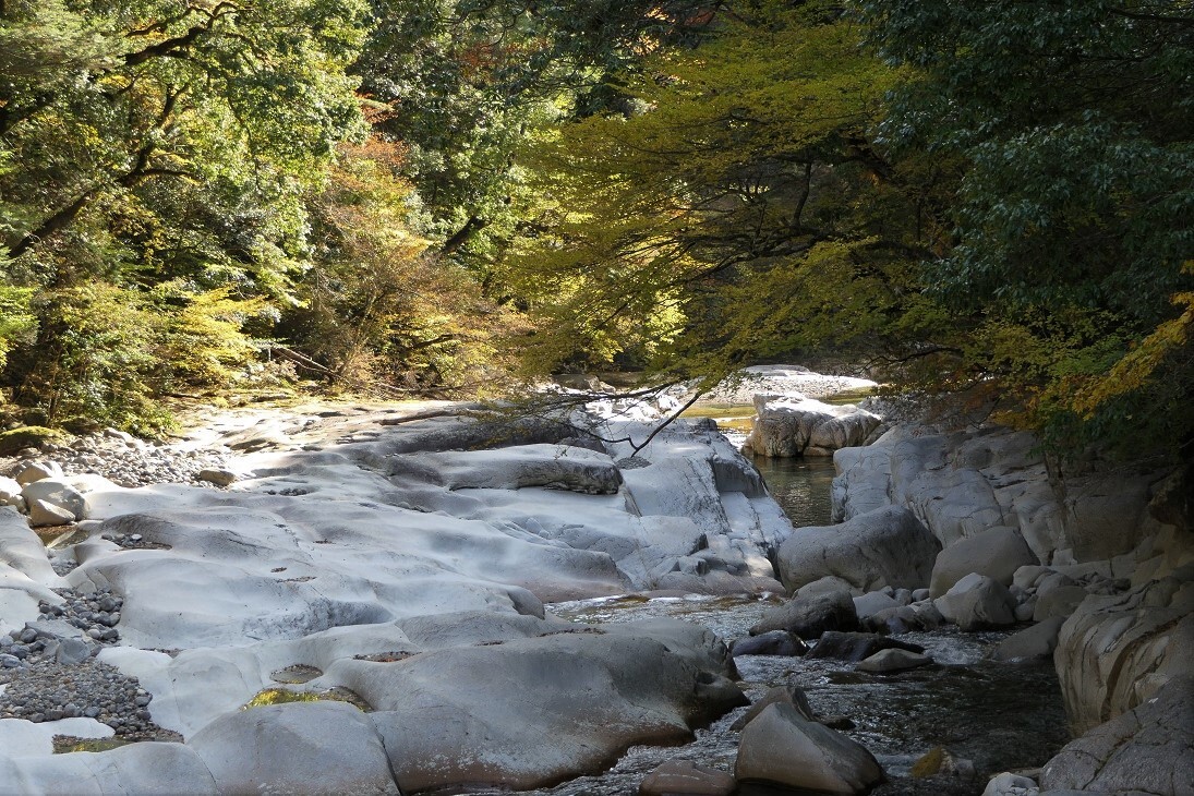 Go To面河渓 紅葉と渓谷美 プチ登山 石鎚山 堂ヶ森 二ノ森の写真18枚目 18紅葉河原 もみじがわら 両岸にカエ Yamap ヤマップ