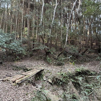 紀泉アルプス・飯盛山・ボンデン山 たいした勾配もない道が続く