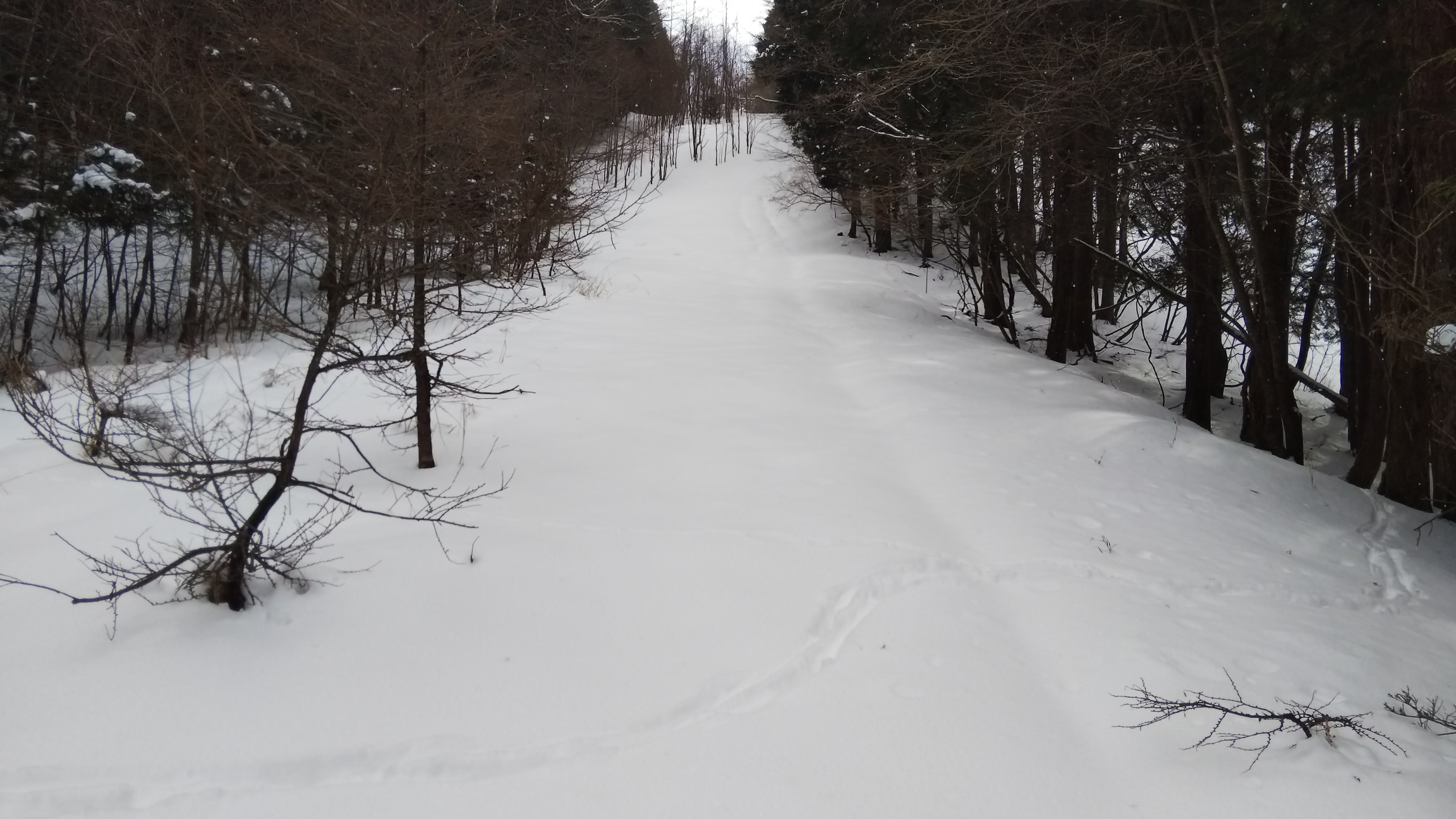 ノントレース～