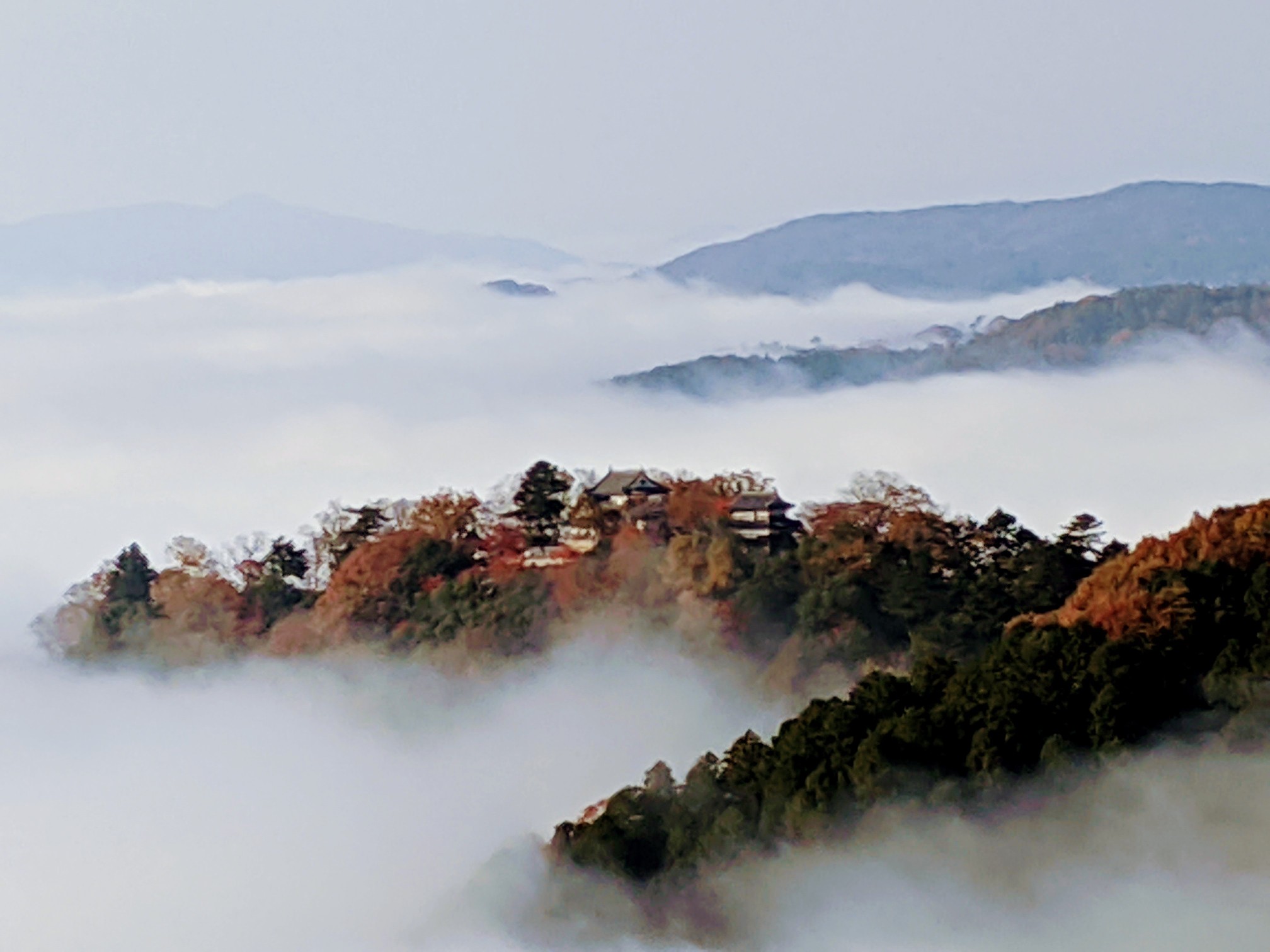 備中松山城と臥牛山 紅葉 雲海 を探して 前ちゃんさんの備中松山城の活動データ Yamap ヤマップ