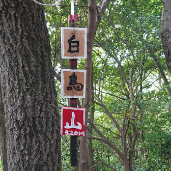 【Peak 5】白鳥山