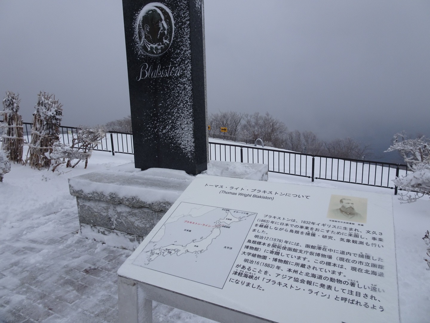 函館山 13ピーク周遊 はこだて衣装 うさくみゃ さんの函館山の活動日記 Yamap ヤマップ