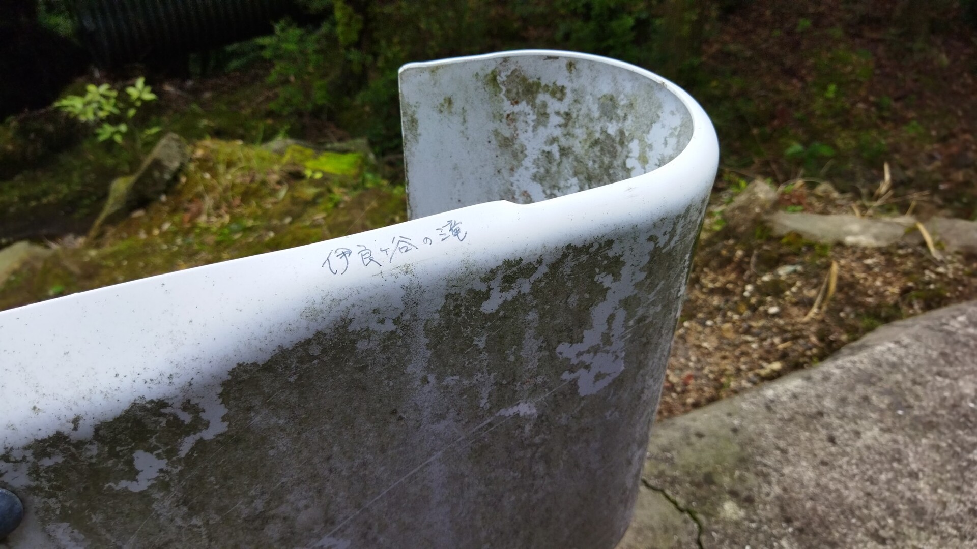 伊良ヶ谷の滝 リベンジならず 今日 しんさんのモーメント Yamap ヤマップ