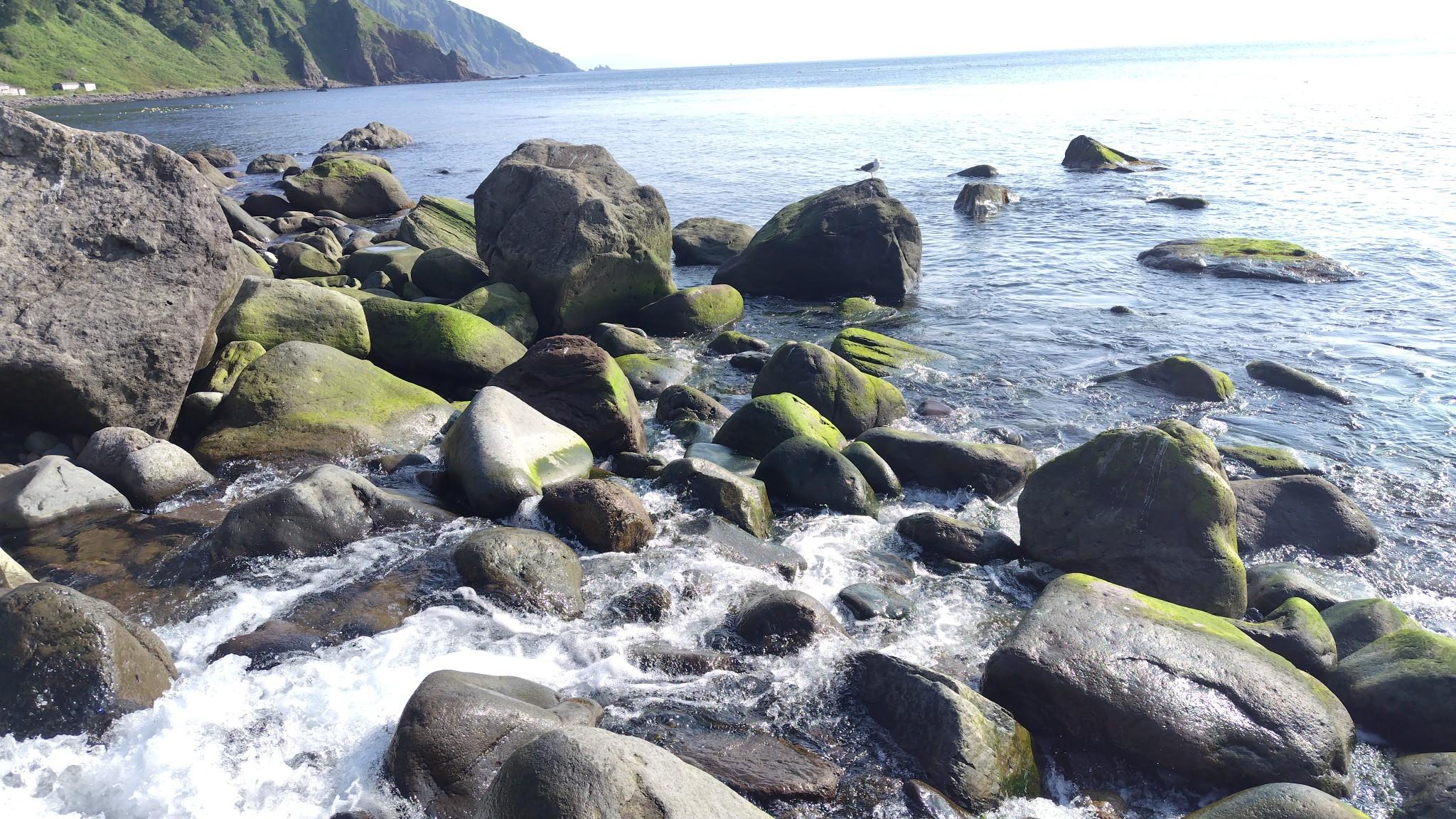 観音岩の川。上流部に丸太橋があるらしいのだが、私は見つけられずに渡渉を試みるも遭えなくドボン。
緑色の海苔は乾いているように見えても確実に滑ります。