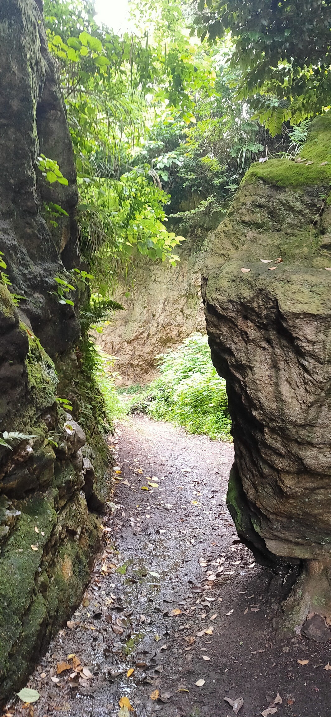 下馬から名越切通し経由で大崎公園 Walppkさんの逗子市の活動データ Yamap ヤマップ