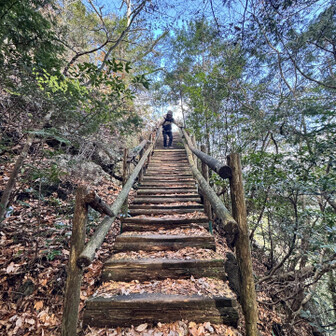 鳳来寺山へ戻ります
この木の階段も滑りやすいのです😇