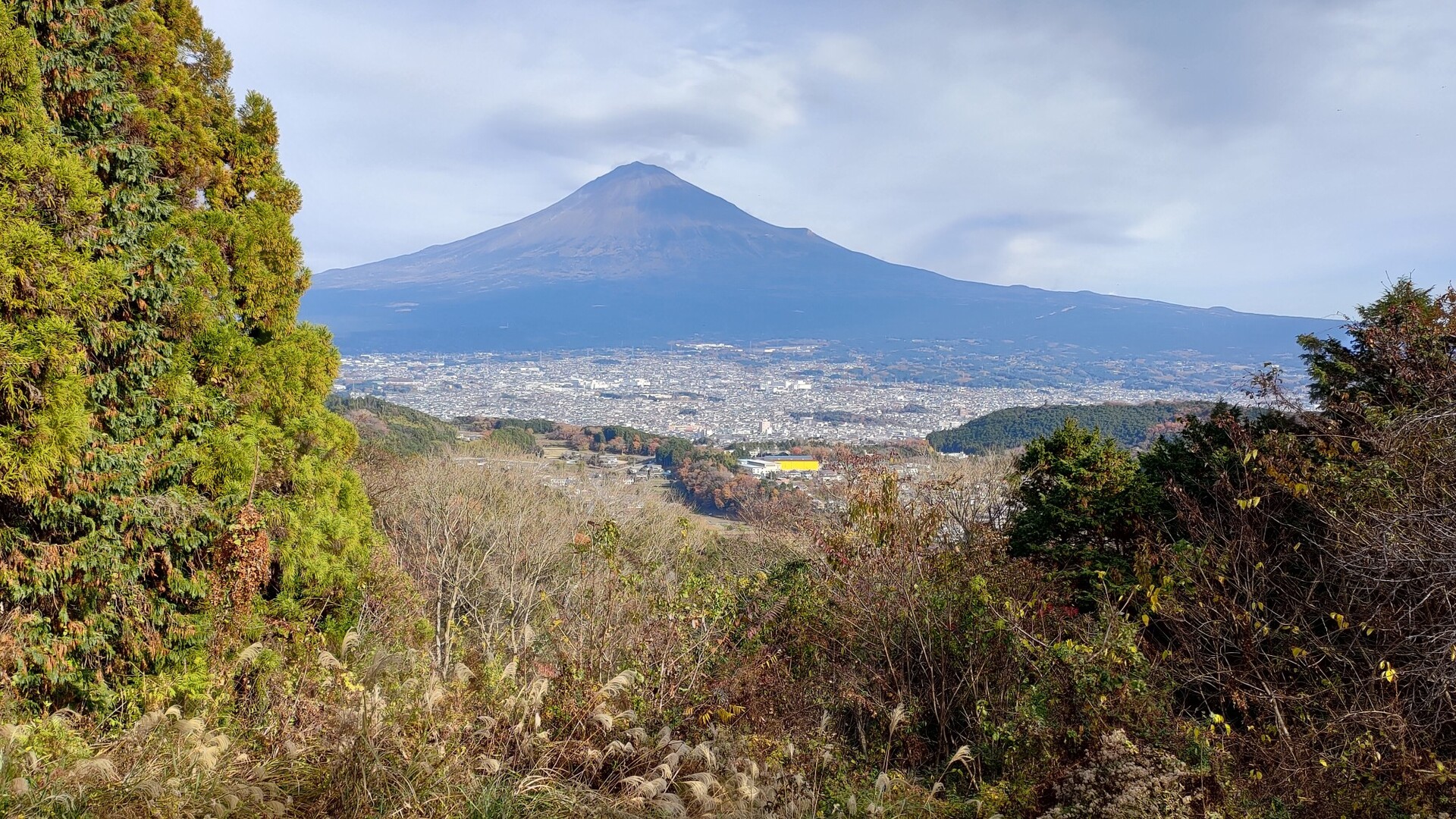 羽鮒山 旧芝川町 / あまぎさんの岩本山・明星山の活動データ YAMAP / ヤマップ