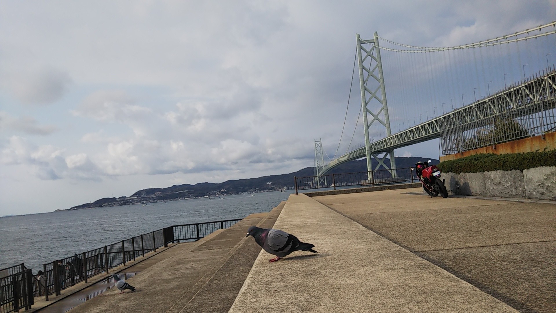 その名も 明石海峡マラソンってことで じゅんきちさんの明石市 加古川市 高砂市の活動データ Yamap ヤマップ