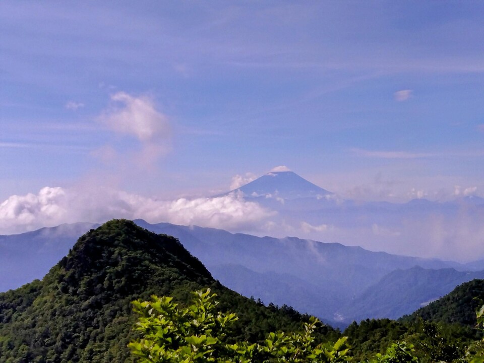 konect 黒富士 影 鉢 富士山型 ①