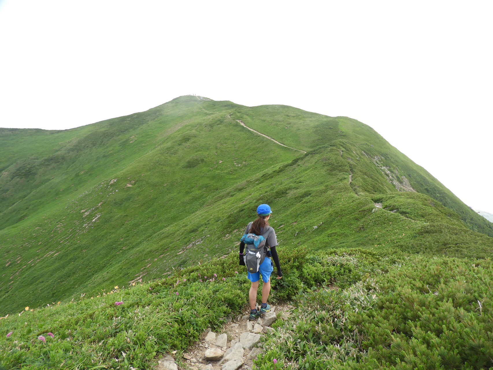 白山 別山 19 08 03 Hikaさんの白山 別山 銚子ヶ峰の活動データ Yamap ヤマップ
