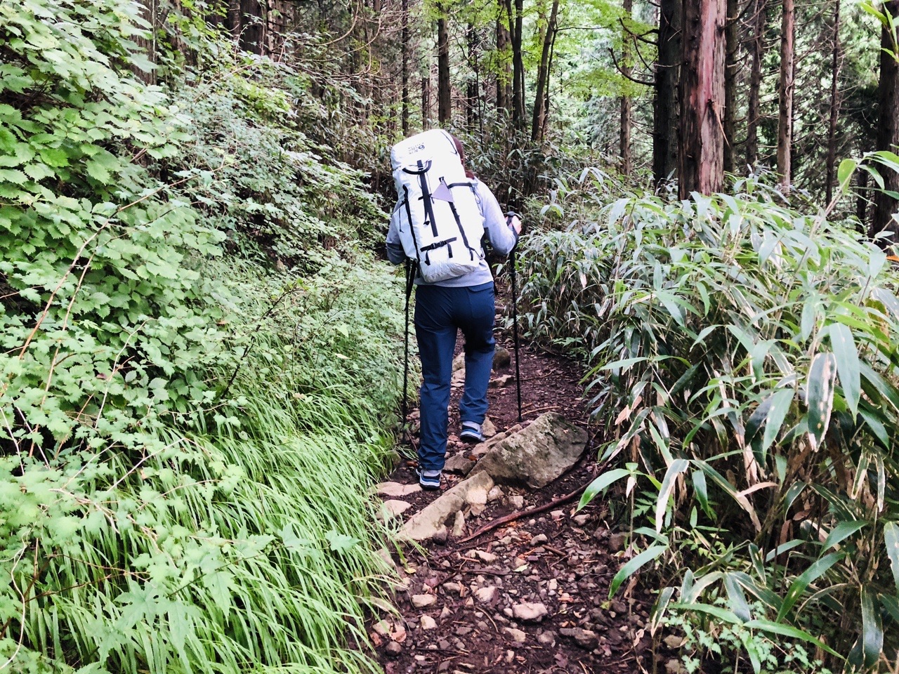 登りはじめの樹林帯。途中までは金時山と同じコースです。