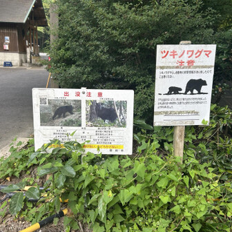 モンキーT🐵🔰