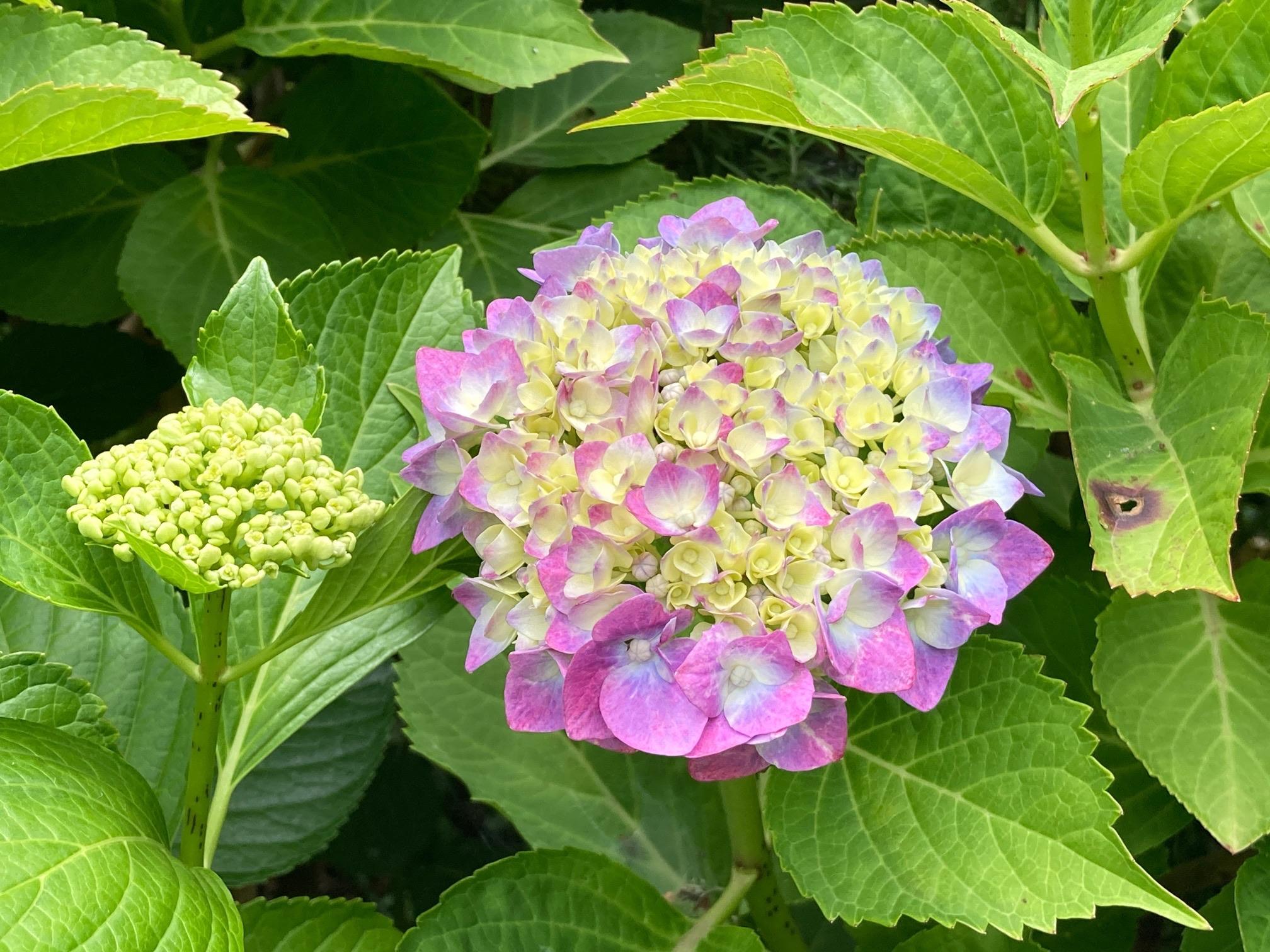 西条古墳群 (国史跡) / ターボウさんの明石市・加古川市・高砂市の活動データ YAMAP / ヤマップ