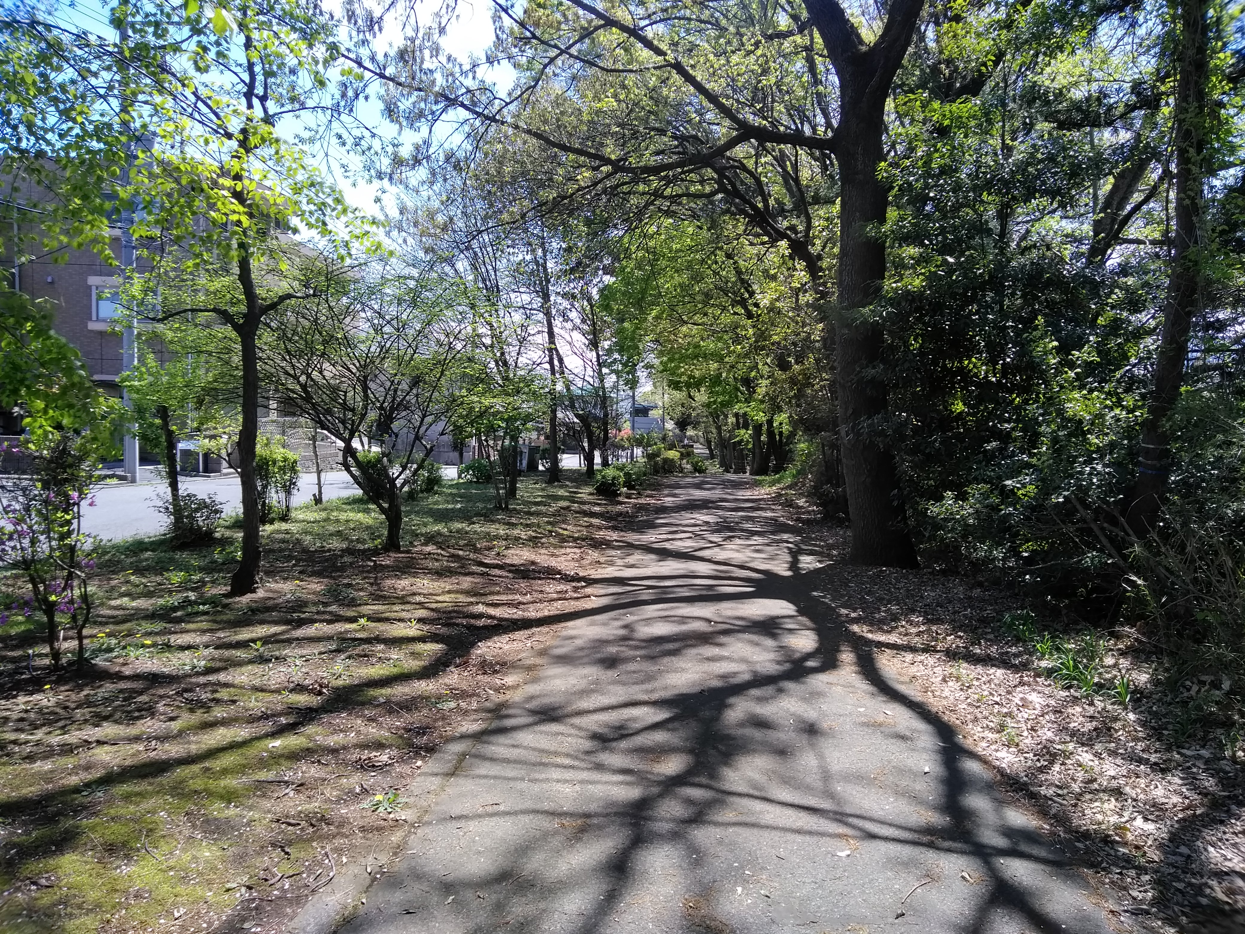 新旧小倉橋から相模川沿いに新昭和橋までサイクリング By Alexmoulton 39 4 Hayakunさんの厚木市の活動日記 Yamap ヤマップ