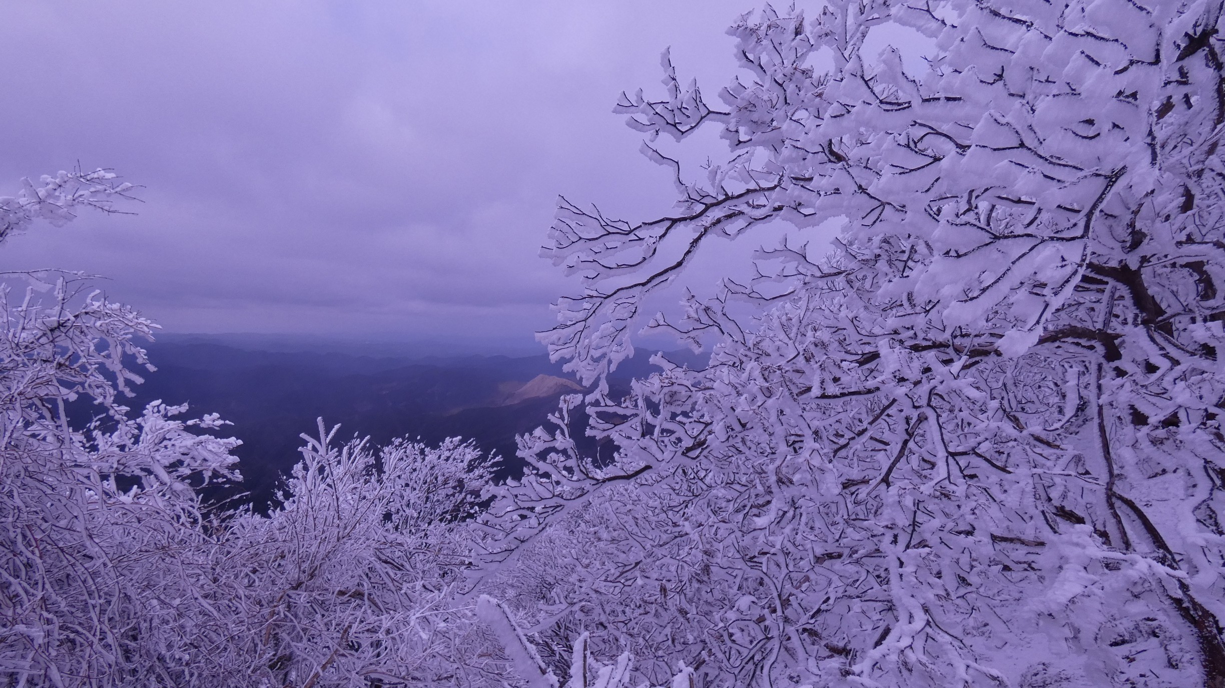 高見山 樹氷 02 01 丸子さんの高見山 黒石山 天狗山の活動データ Yamap ヤマップ