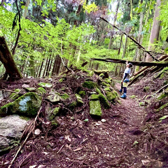 たかたかしのページ YAMAP / ヤマップ