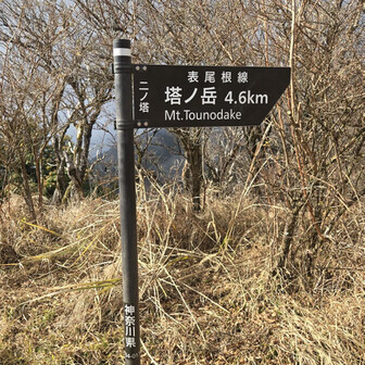 やっとニノ塔。ここまでが大変でした…。