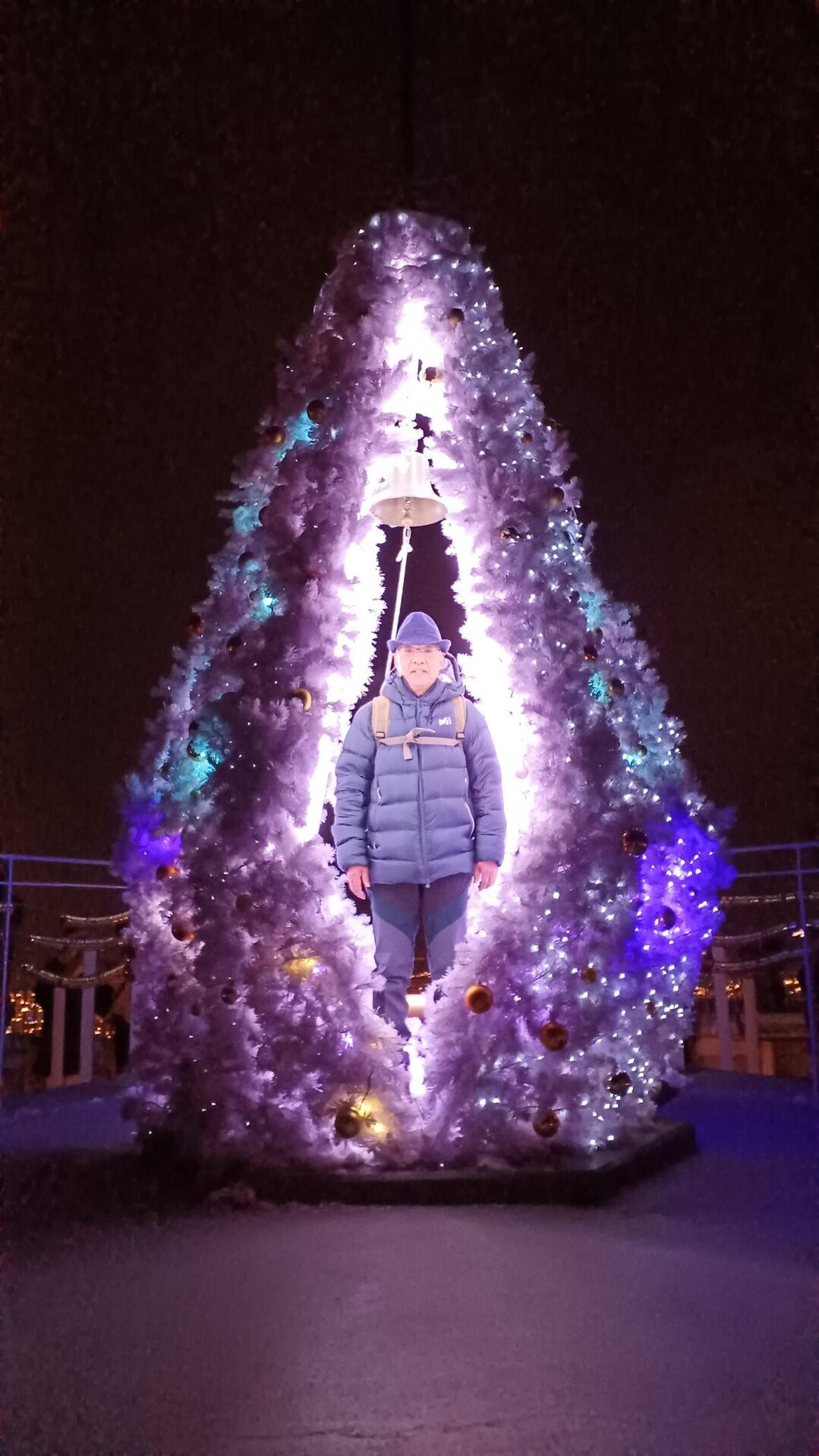 クリスマスツリーに彩られた藻岩山 せいちゃんさんの藻岩山の活動データ Yamap ヤマップ