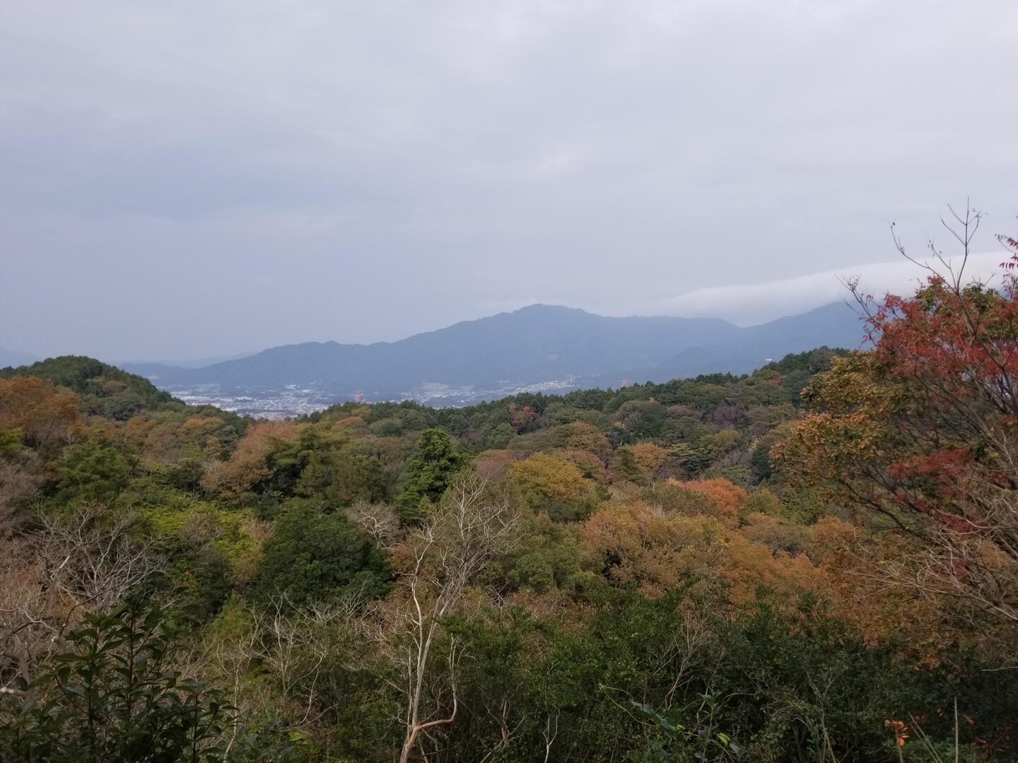 大城山・大原山 / らくださんの四王寺山・大城山・大原山の活動データ YAMAP / ヤマップ