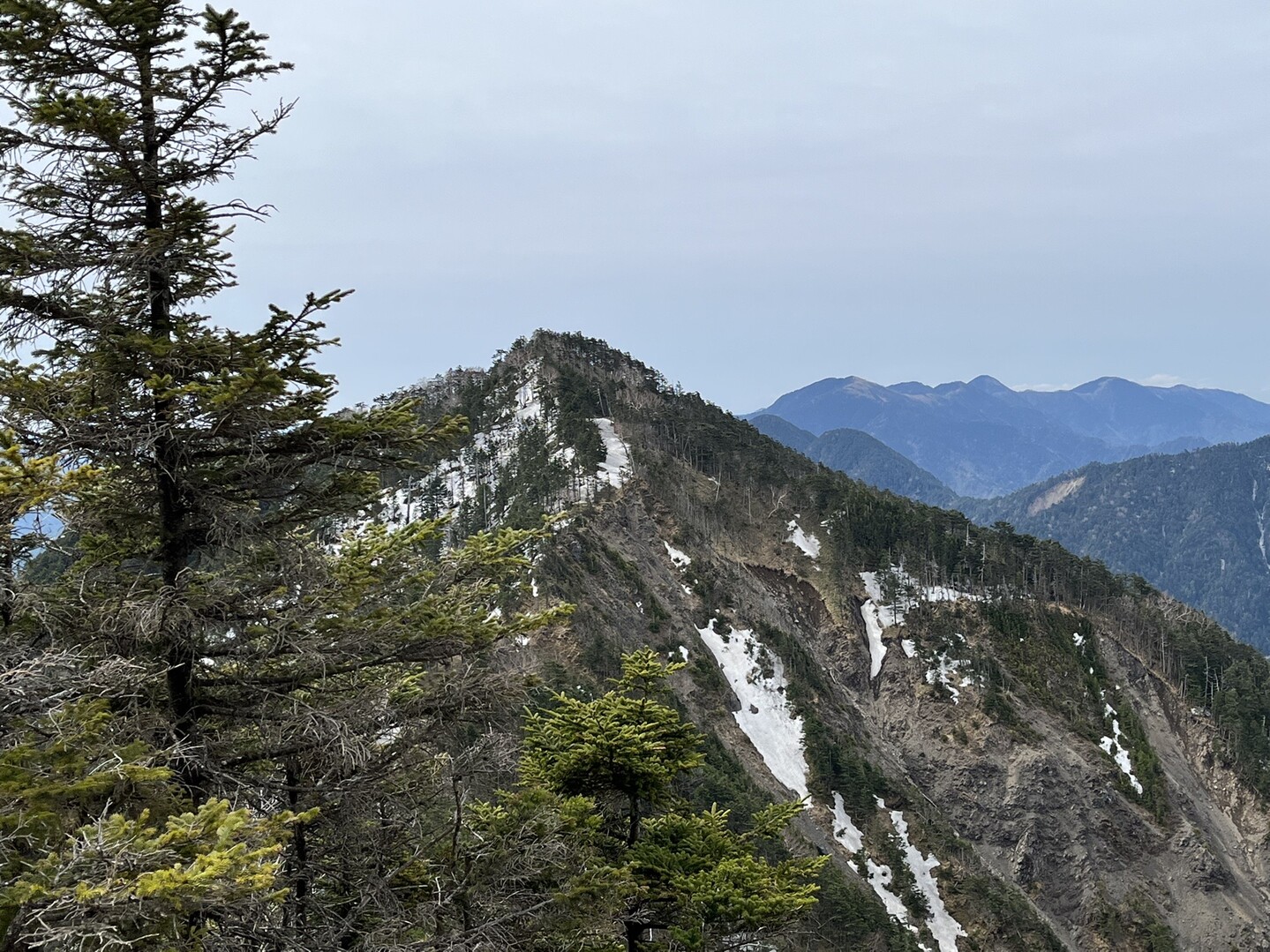 秘境の遠山郷から池口岳へ / ヨルガノさんの池口岳・加加森山・光岳の活動データ YAMAP / ヤマップ