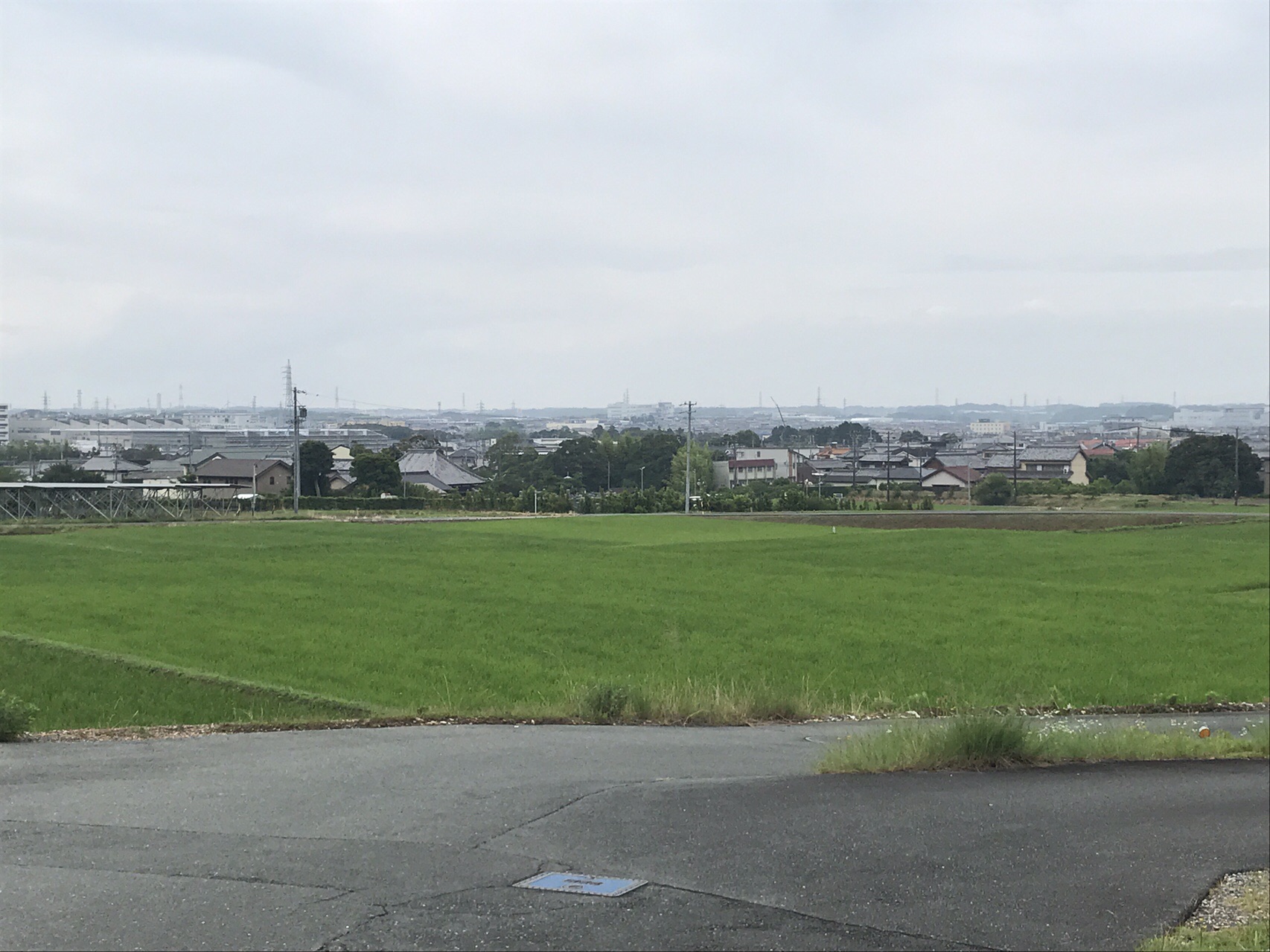 湖西連峰 47回 天気予報を信じて Hiroちゃんさんの坊ヶ峰 石巻山 神石山 葦毛湿原の活動データ Yamap ヤマップ