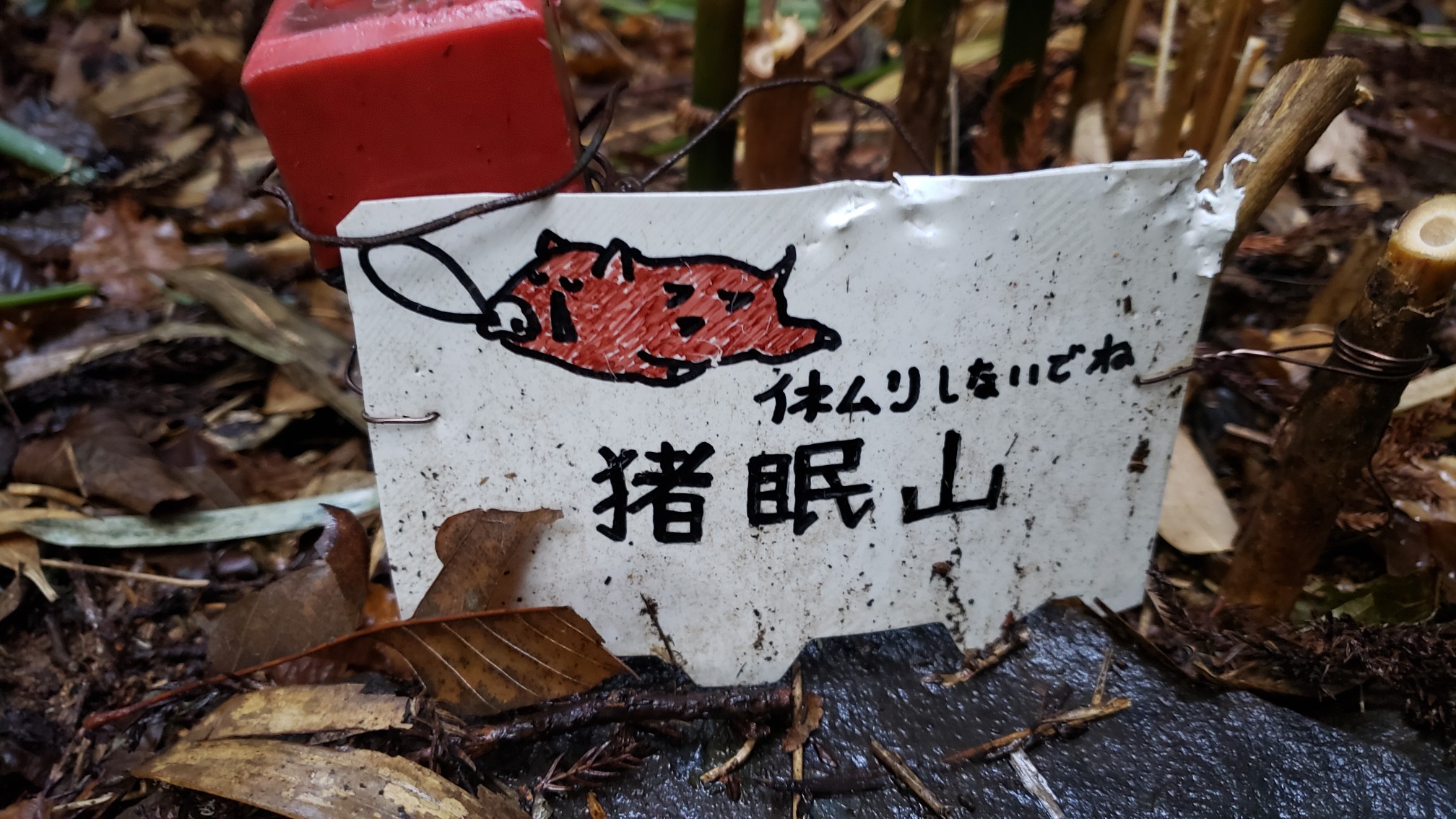 猪眠山 19 12 31 もりやまさんの翁倉山の活動データ Yamap ヤマップ