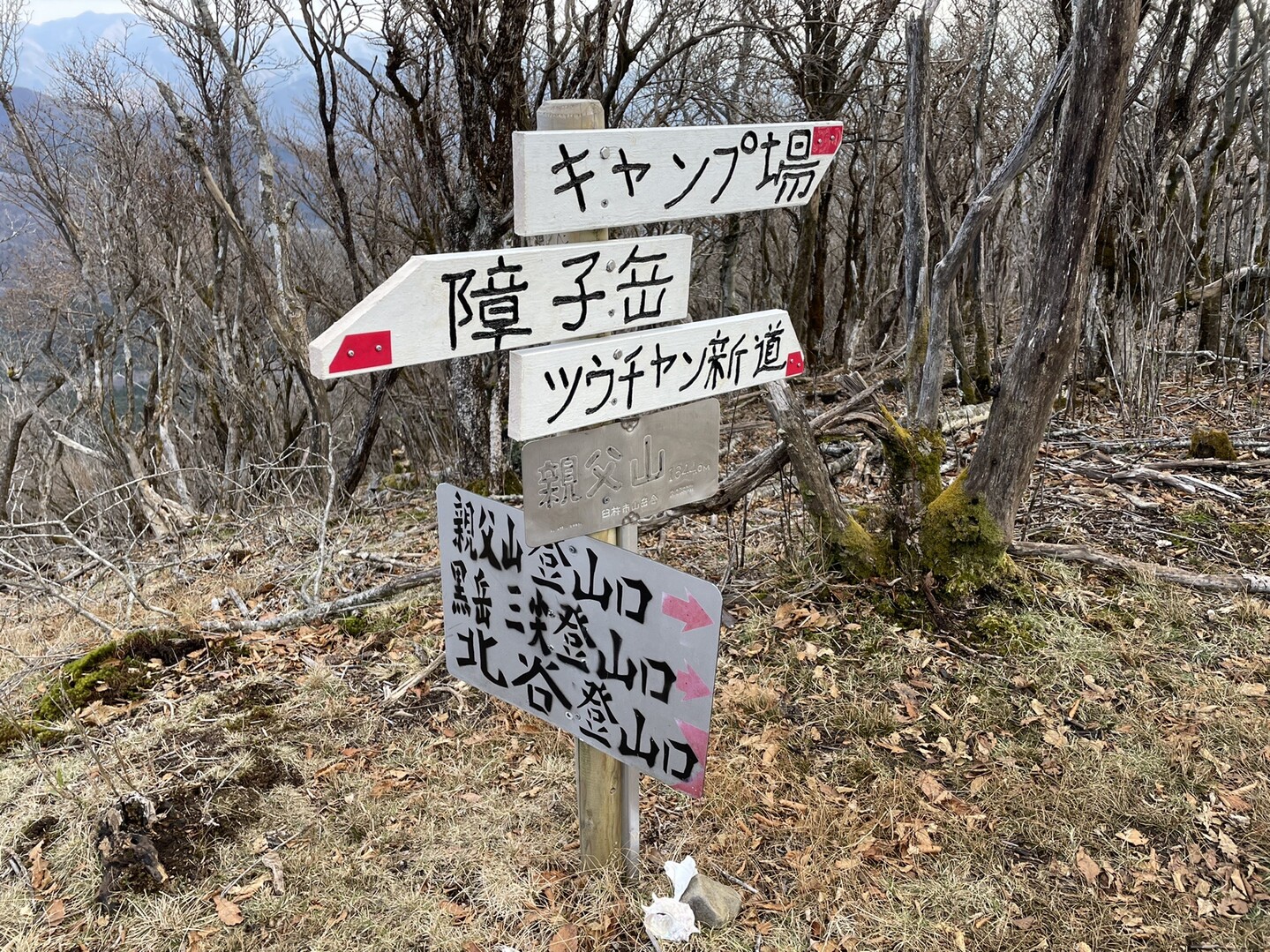 三尖 黒岳 祖母山 障子岳 親父山をぐるっと周回してみた 祖母山の写真221枚目 ラストの親父山とうちゃこ 山頂標識が目 Yamap ヤマップ