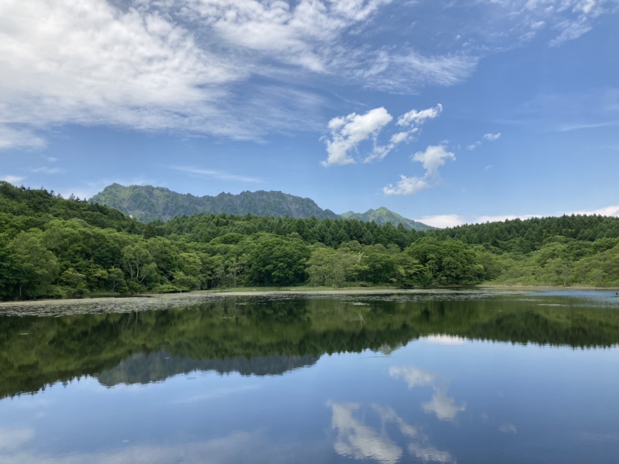 戸隠神社 中社 奥社 鏡池 小鳥ヶ池 うずら屋 ももんがさんのハイキングの活動日記 Yamap ヤマップ