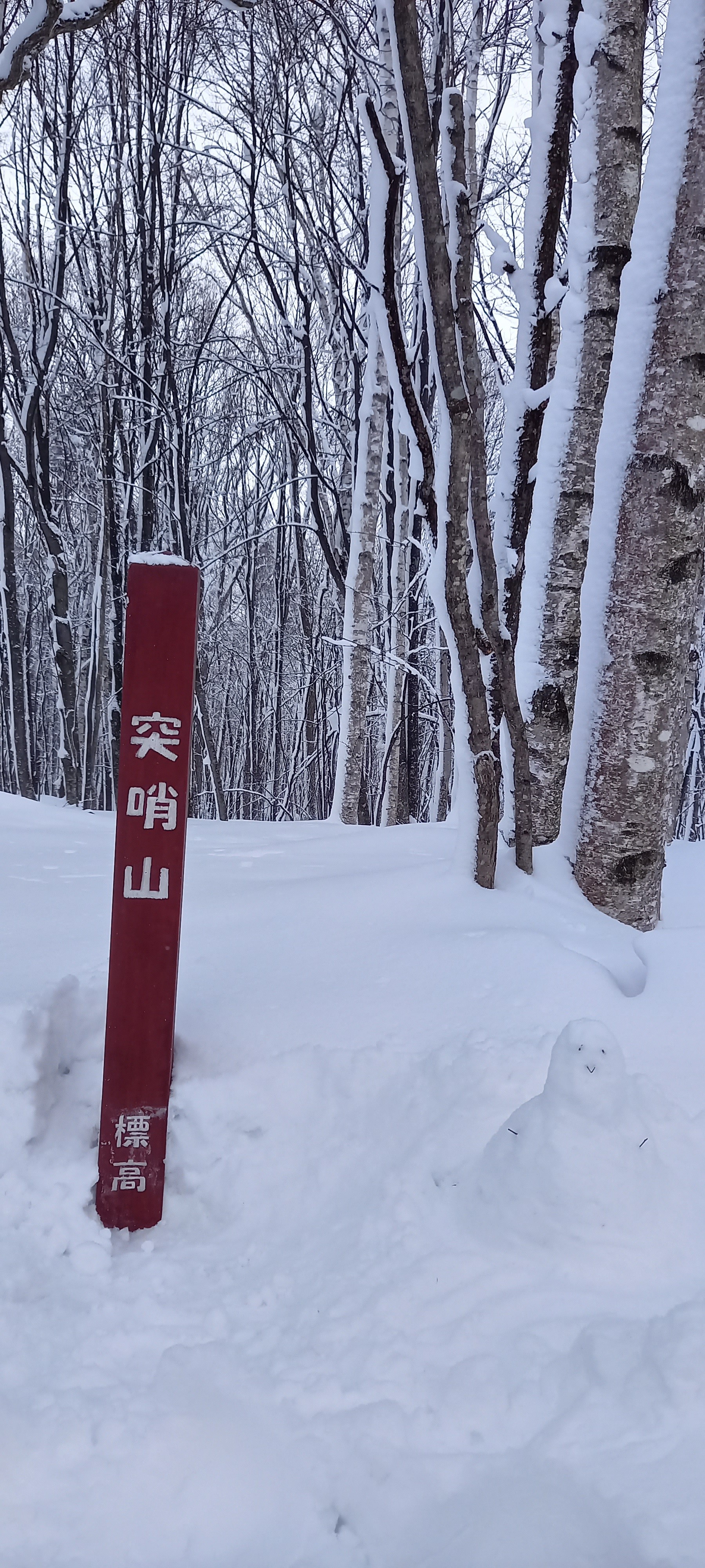 突哨山 ひろさんの旭川市の活動データ Yamap ヤマップ