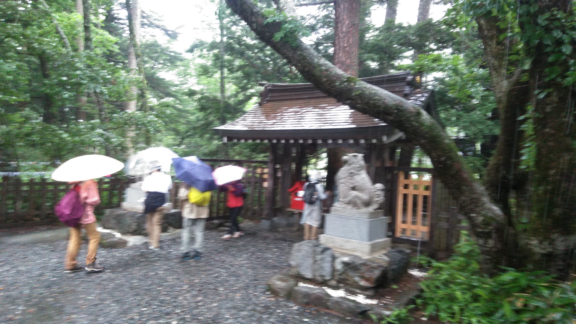 槍ヶ岳から大キレット穂高岳縦走のつもりが なんて日だ 19 08 19 げんめいさんの槍ヶ岳 穂高岳 上高地の活動日記 Yamap ヤマップ