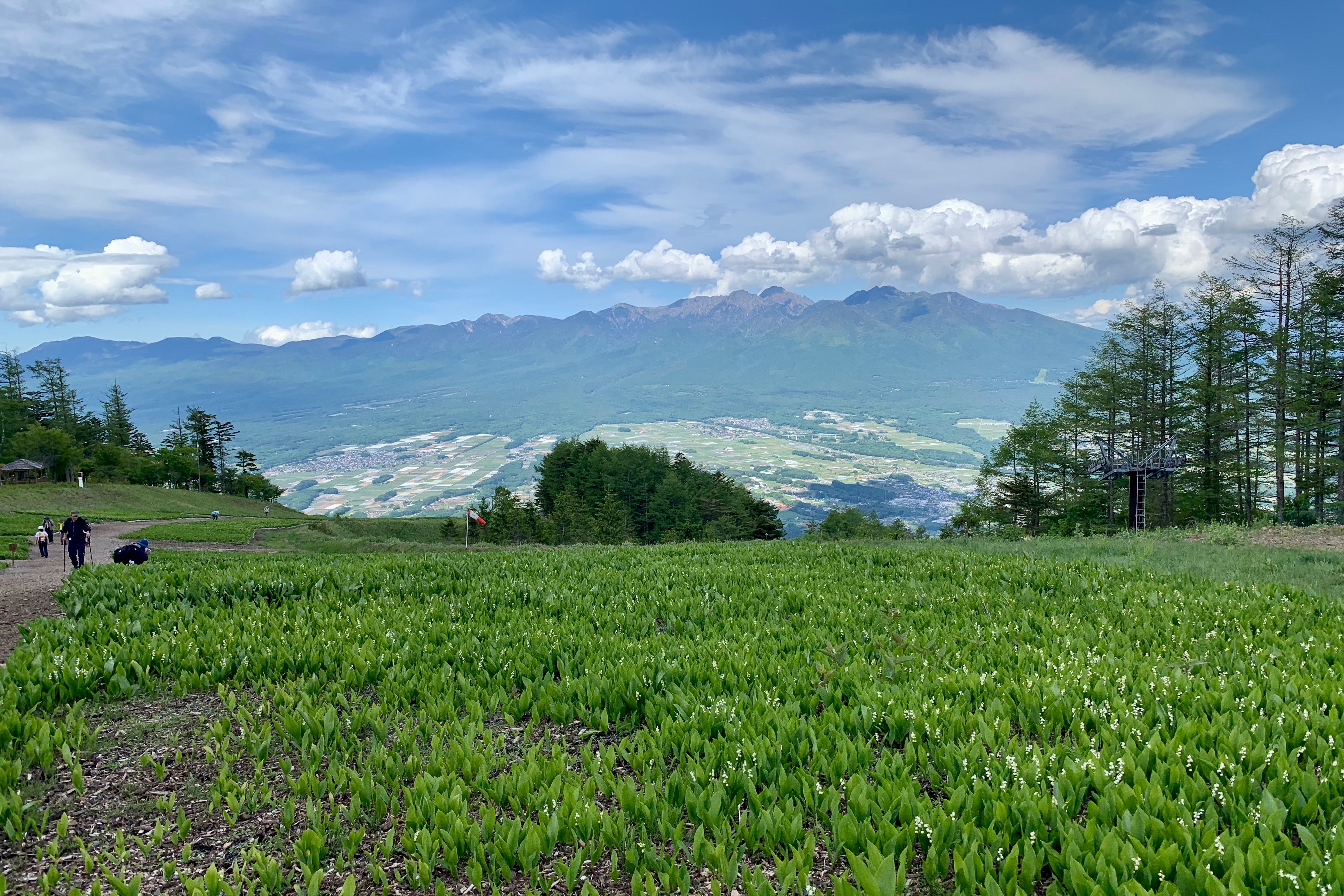 すずらんとホテイアツモリソウを見に ヤマジィさんの入笠山の活動日記 Yamap ヤマップ