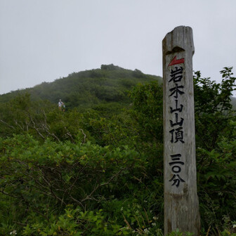 山頂まで30分で本当に行けるのかしら?🤔
