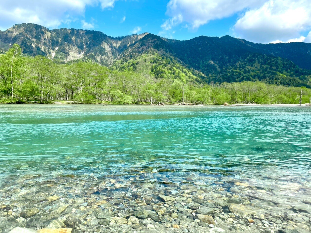 若草色 翠色 萌葱色 若葉色 碧色 緑色にもいろいろありまして 春の上高地を行く 21 05 30 スナフキンママさんのウォーキングの活動日記 Yamap ヤマップ