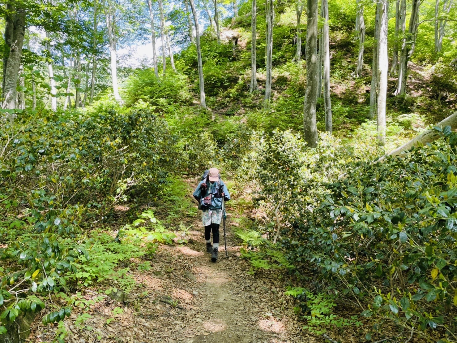 終わっちゃう…