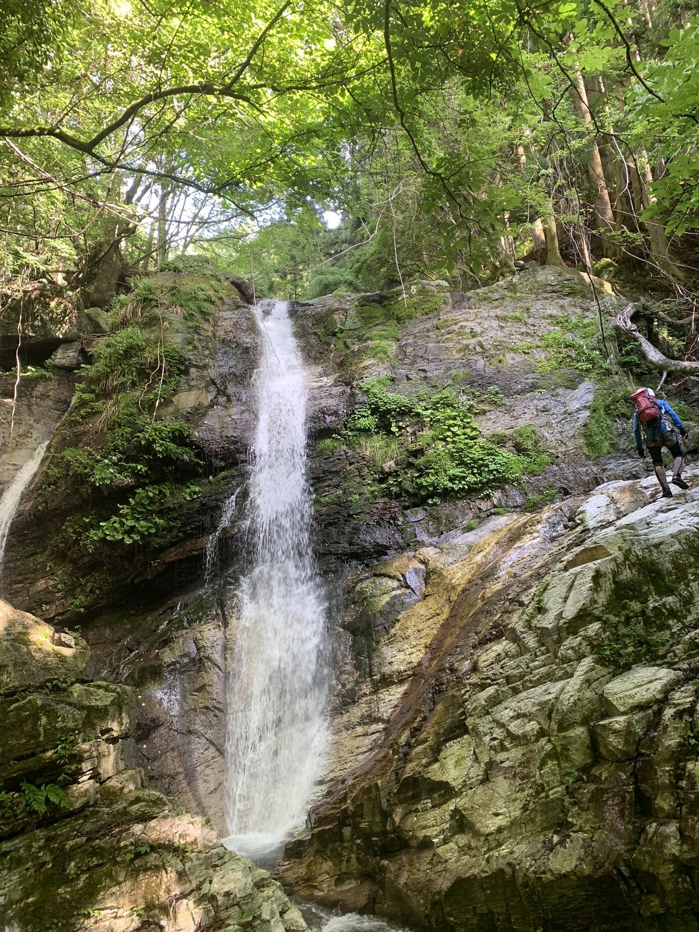 巻きを主体に登ります