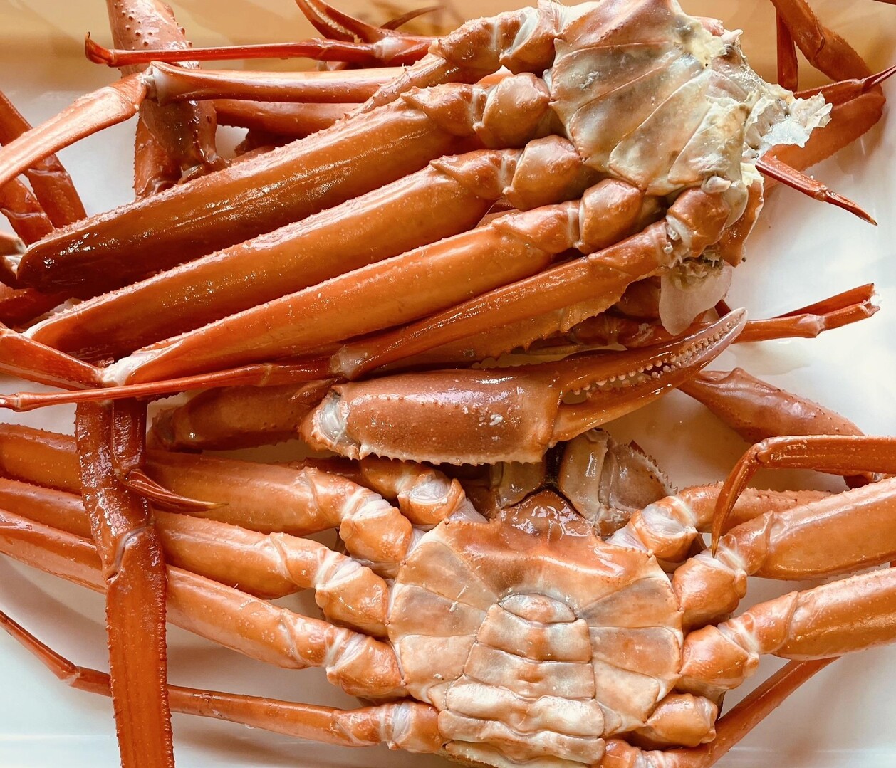  CES 2019: LifeProof が 99 ドルの「Lifeactiv」防水バッテリー パックを発売