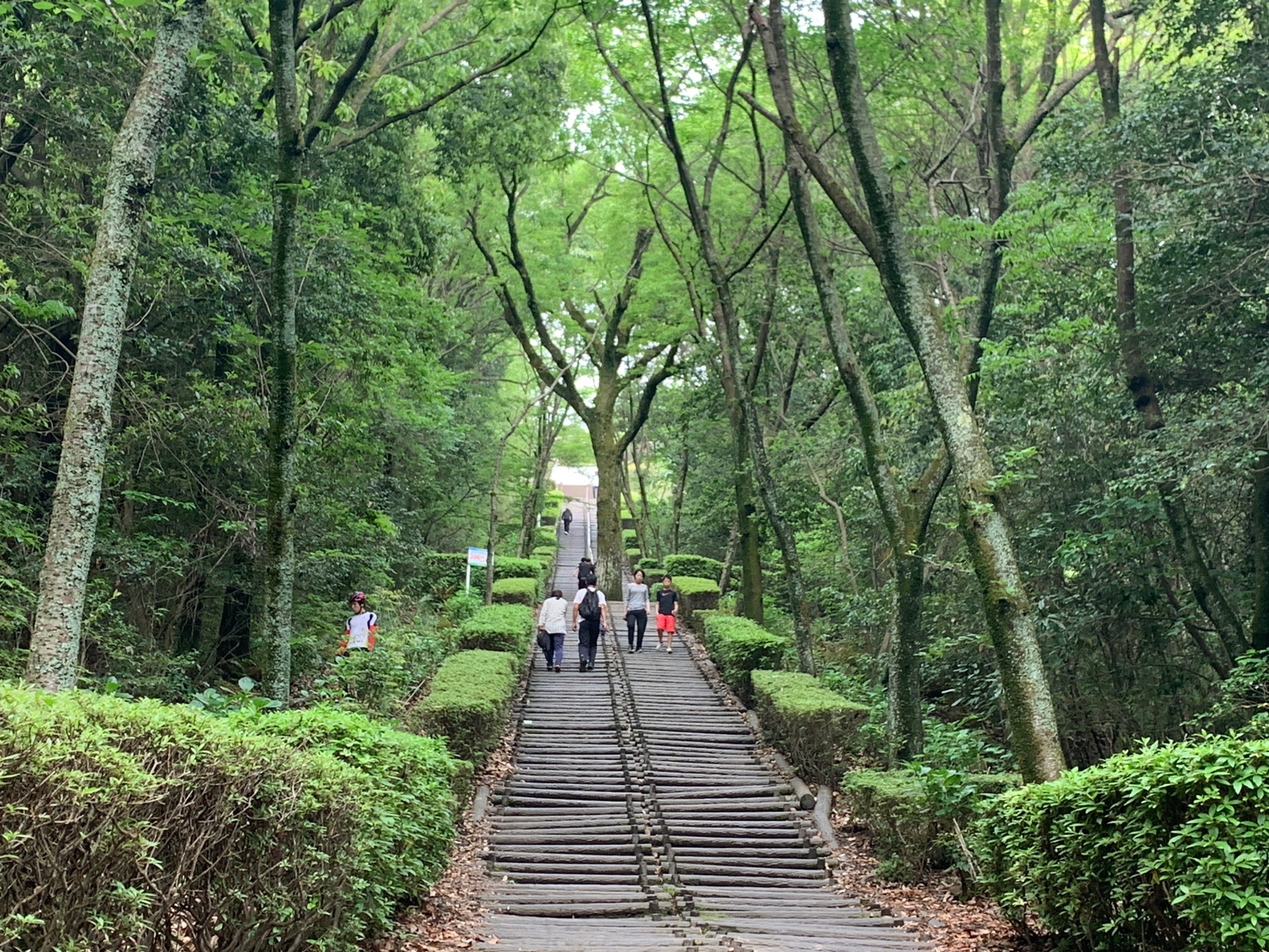 大分市 高尾山自然公園 05 05 Tsutream3さんの大分市の活動データ Yamap ヤマップ