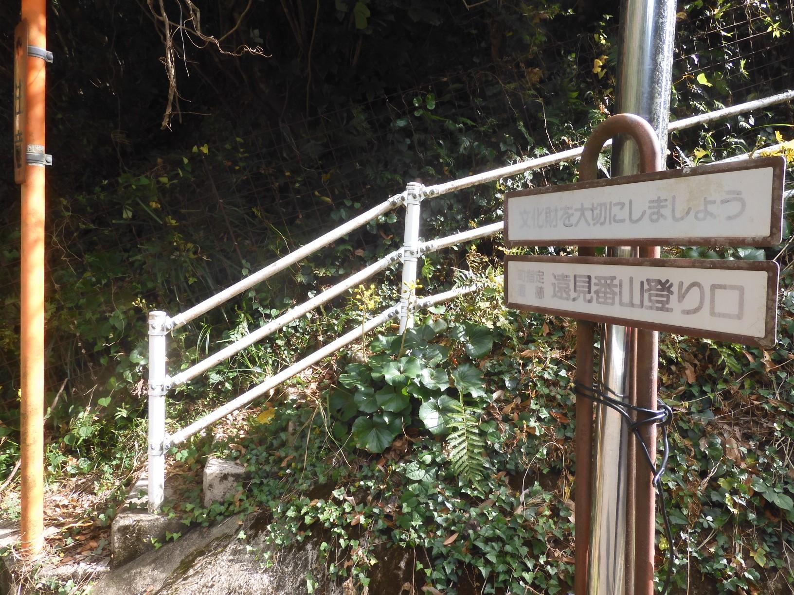 遠見番山登山口まで下りて、再び車道を歩いて戻ります。