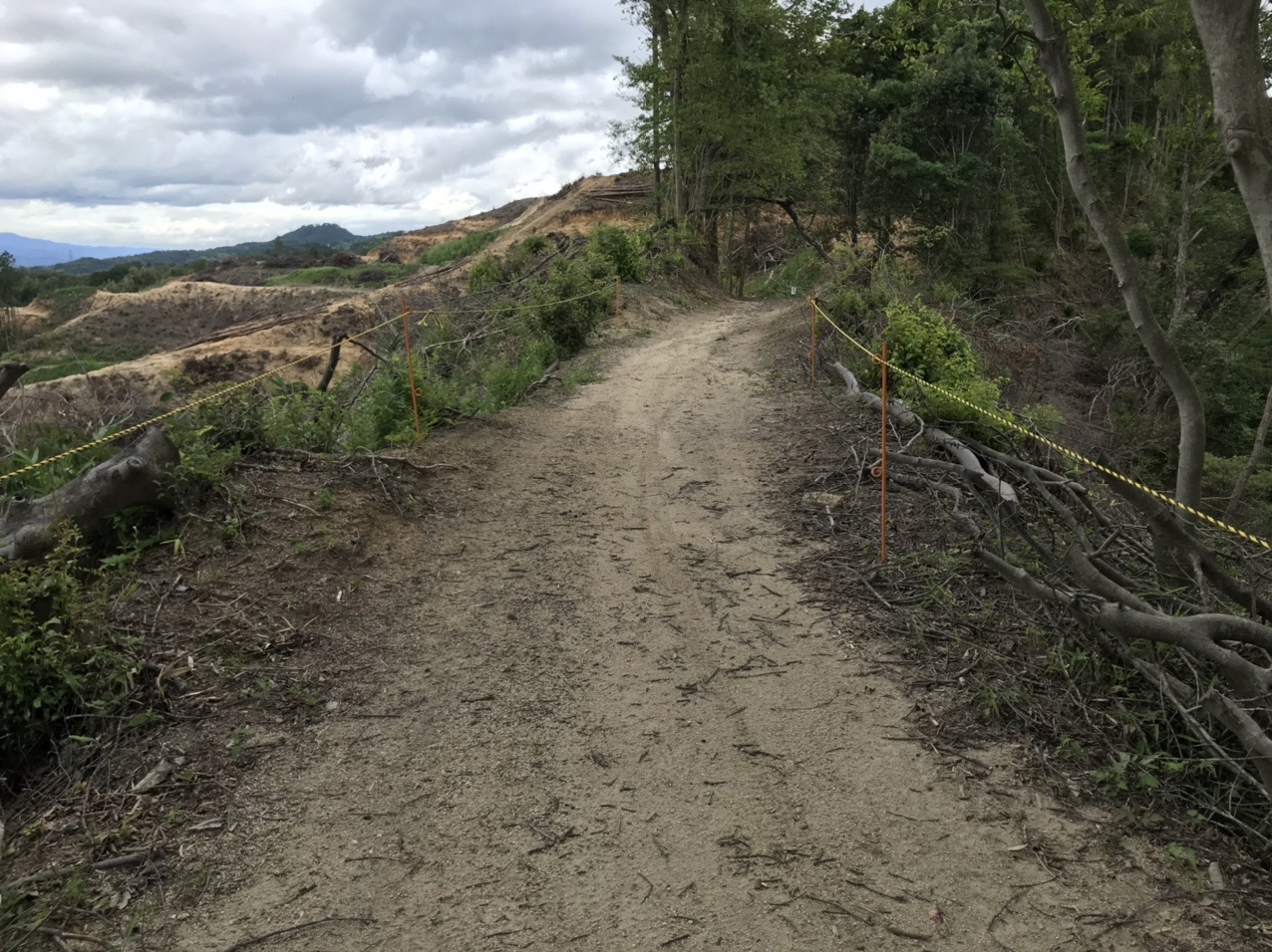 生駒山・神津嶽・大原山 「河内越え」ルートは問題なし。破壊されていません。車（軽トラ？4WD？）が通った跡もあります。
