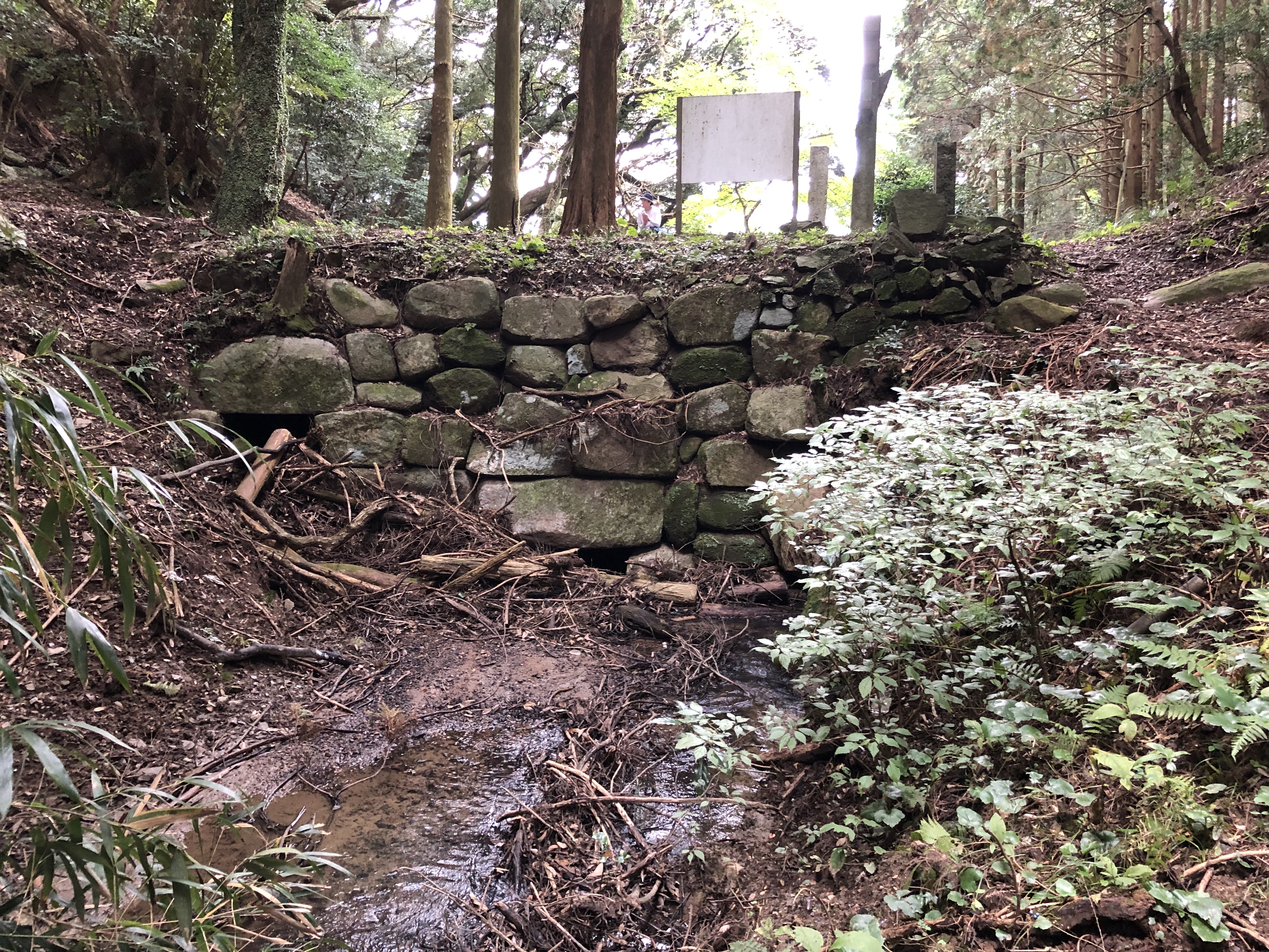 198 雷山神籠石へ 筑前前原sta 雷山神籠石 うぉーきんぐさんの糸島三都110キロウォークの活動データ Yamap ヤマップ