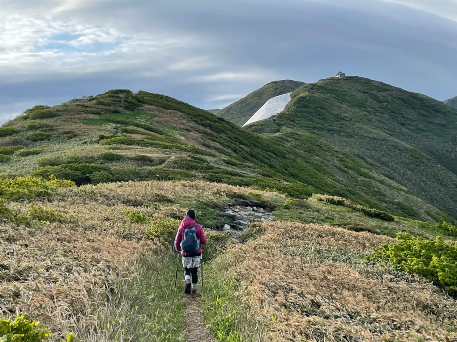 タモギ小屋ロックオン！