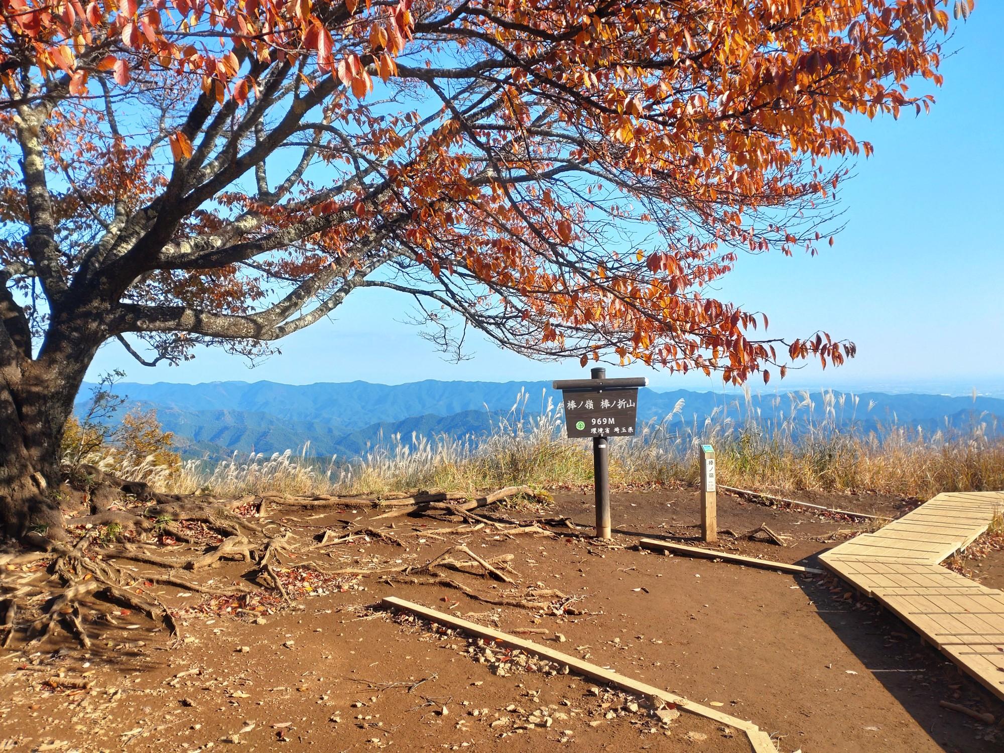 白谷沢登山口-権次入峠-棒ノ嶺 往復コースの地図・登山ルート・登山口
