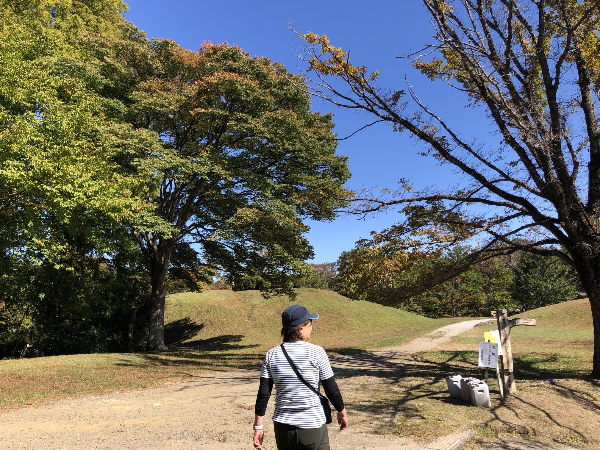 高森山(宮城県民の森) / SanWatanabeさんの仙台市の活動データ YAMAP / ヤマップ