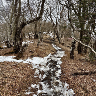 大室山・畦ヶ丸・菰釣山 少し残ってた❄️