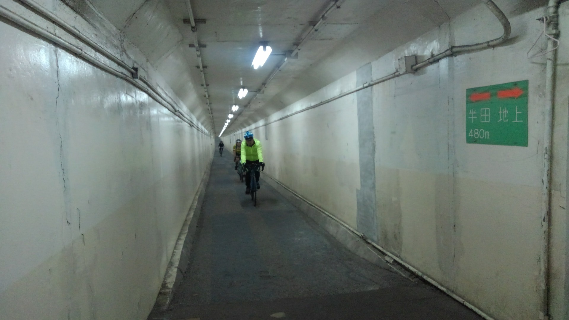 衣浦湾 早桜 ふくちゃんさんの茶臼山 西尾市 万灯山の活動日記 Yamap ヤマップ